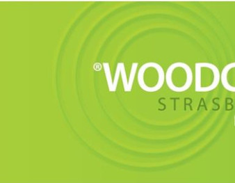 Woodchem 2011